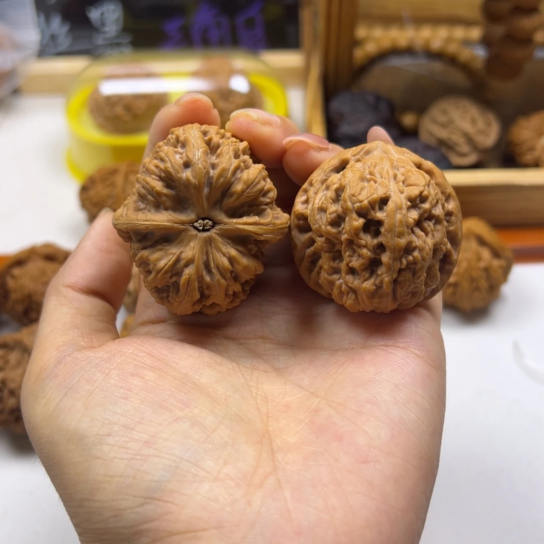 葫芦千佛山粗筋全品41