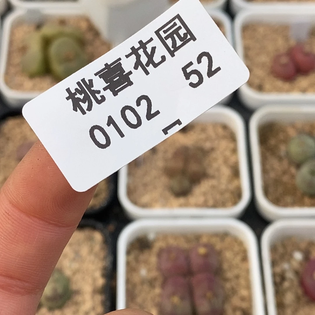 小*鸡102-52-超墨88折。