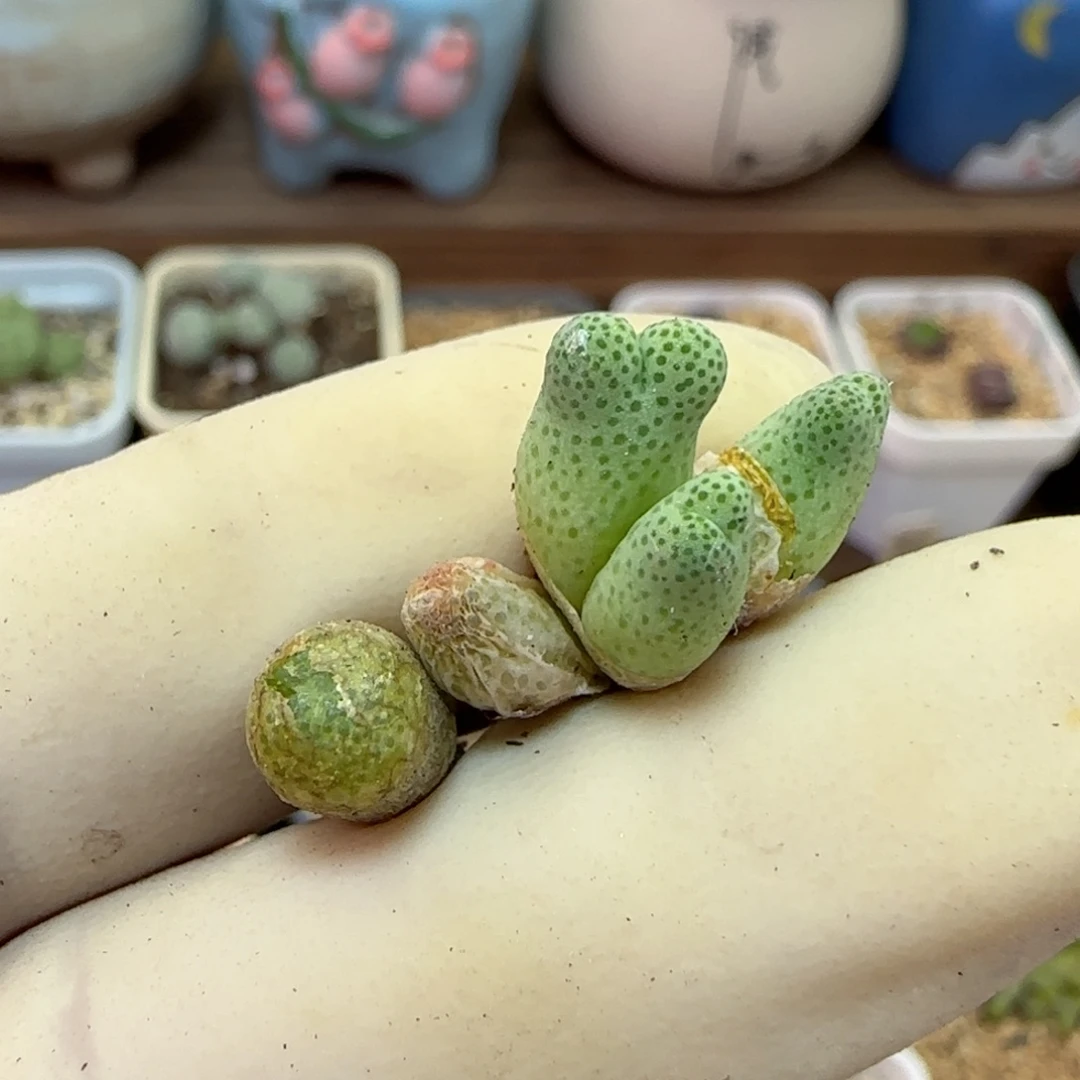 839福利福利福利