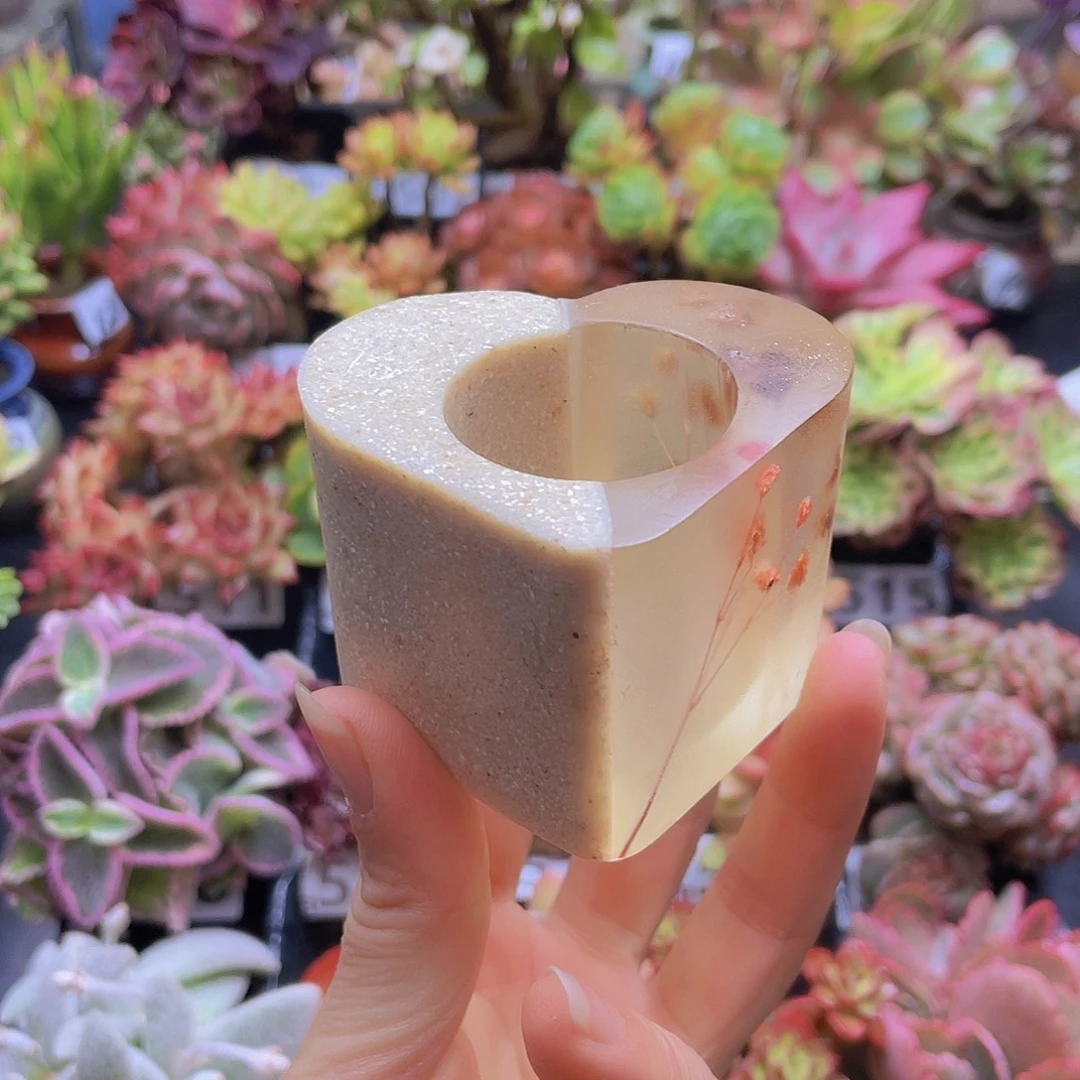 花钱花钱花钱花钱花钱