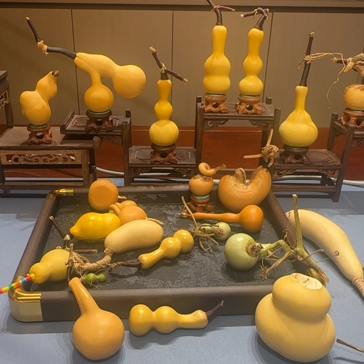 乐***女葫芦哈哈哈哈哈哈哈哈哈好