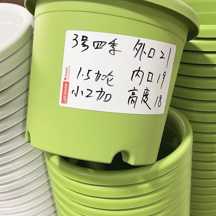 特价3号四季口21高18果绿带托10只