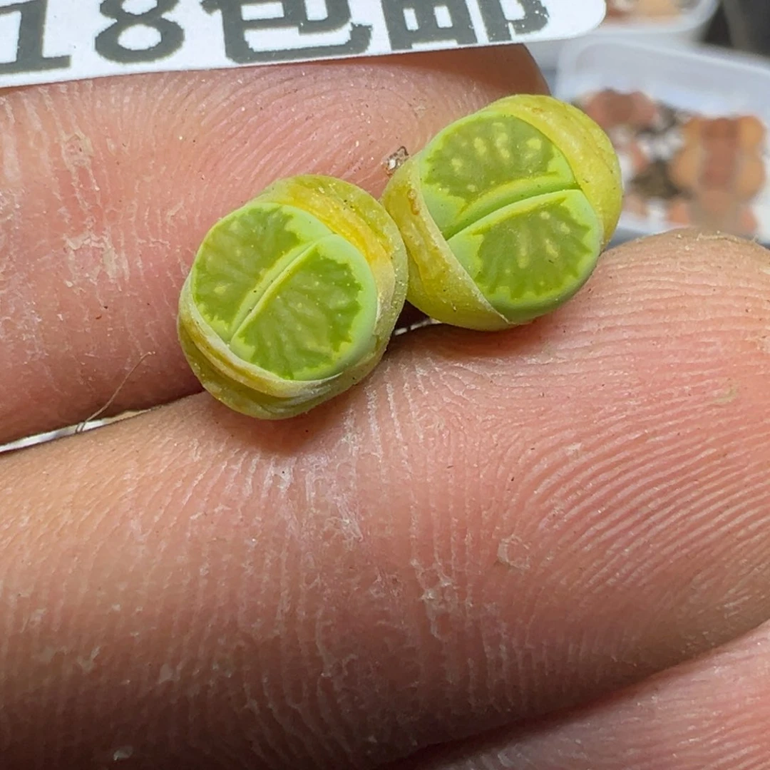 【闪购商品】 913。