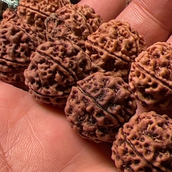 手串金刚菩提20蜂王