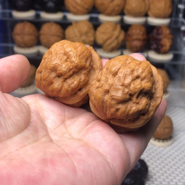 把件文玩核桃58肌肉金蟾38