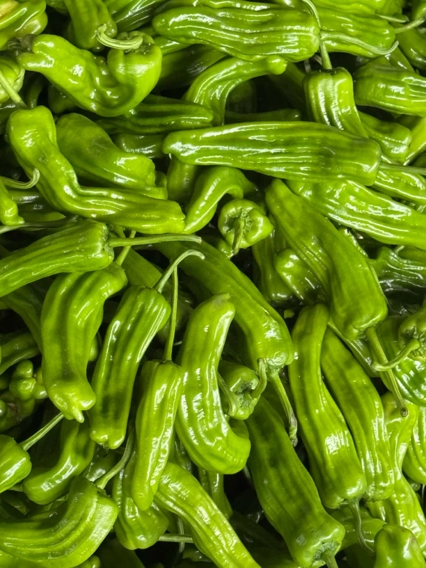 （微辣）湖北本地薄皮辣椒新鲜采摘3/5斤包邮新鲜辣椒