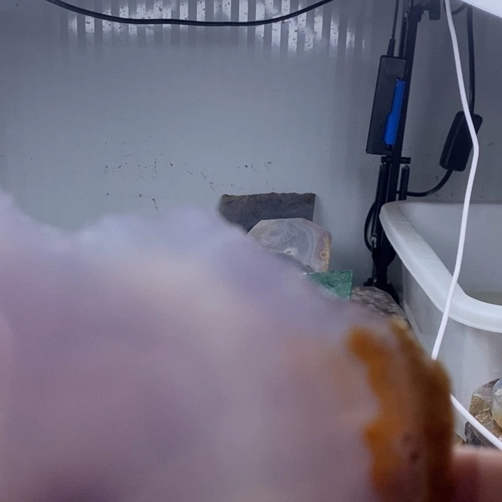 定制玛瑙玛瑙手镯私人定制