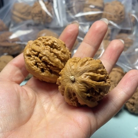见***己吊坠文玩核桃霸王龙14