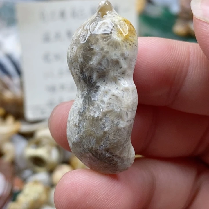硅化珊瑚（珊瑚玉）未镶嵌颈饰