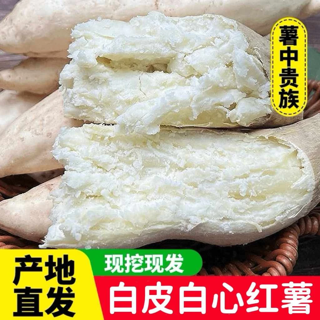 2025正宗白皮牛奶人参薯新鲜现挖白心爆皮王番薯粉糯干面地瓜