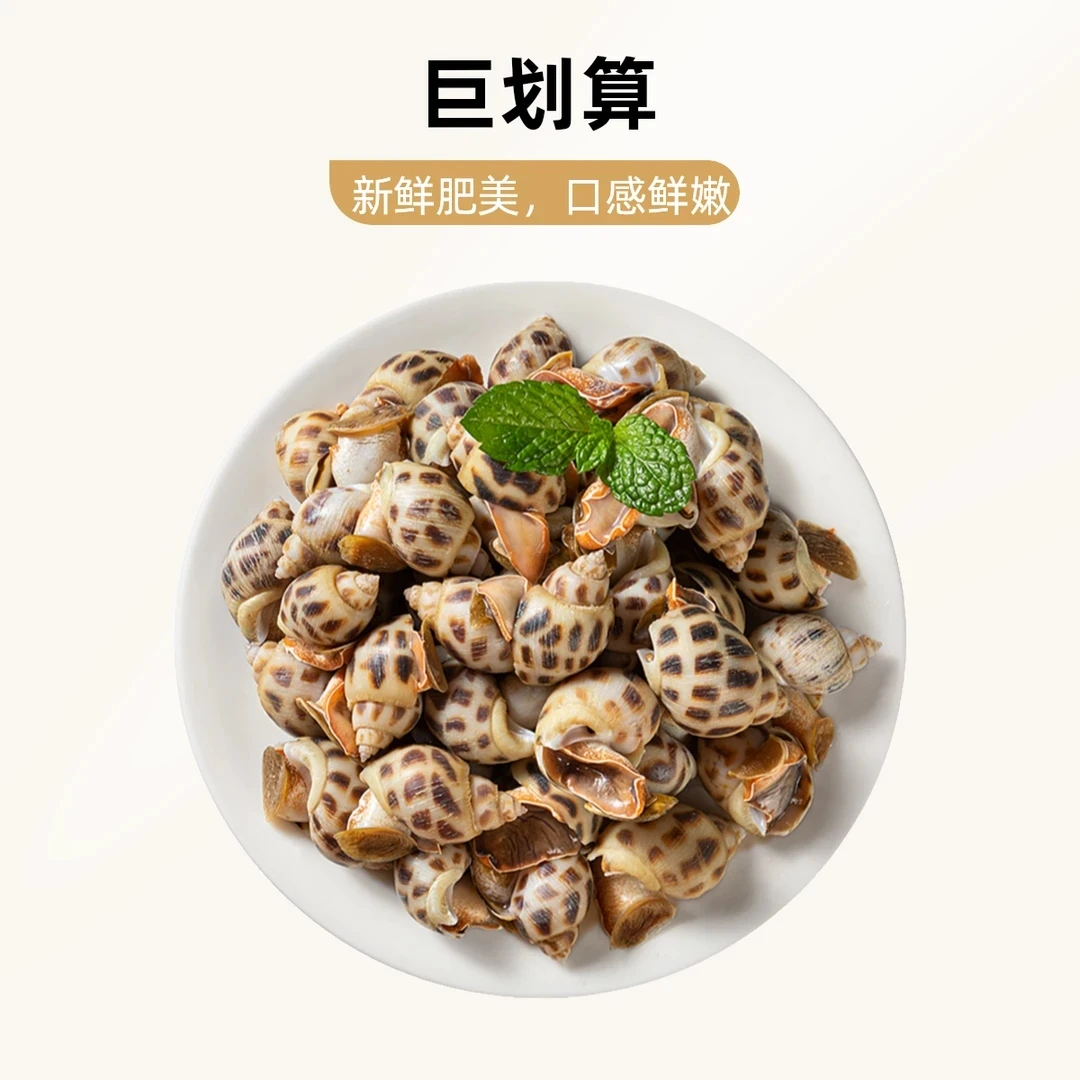 【拍2斤送2斤】鲜活速冻花螺新鲜海鲜螺类干净鲜甜急冻锁鲜无沙无水12/8【史情】