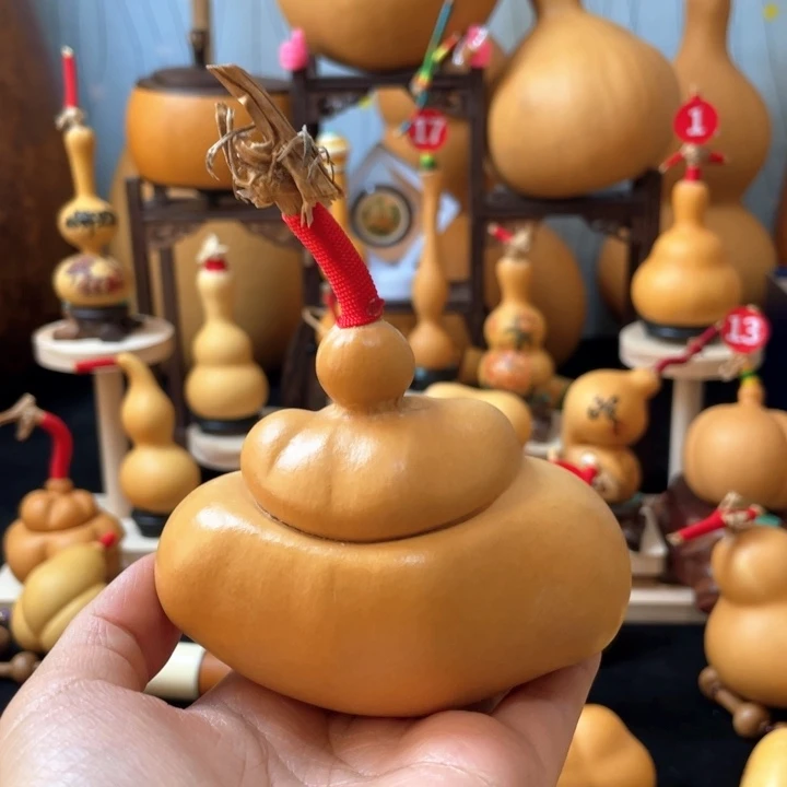 学*葫芦丝和我说话真的超级喜欢