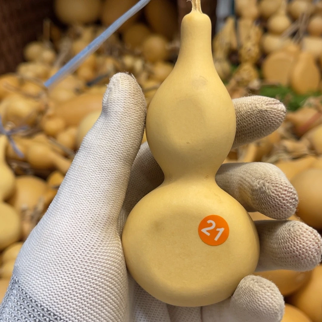 闪拍葫芦链接-21号品