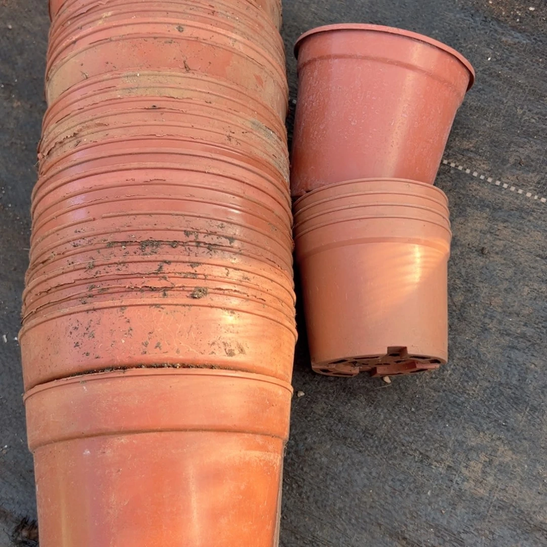 红色矮胖盆15口径31个 打包