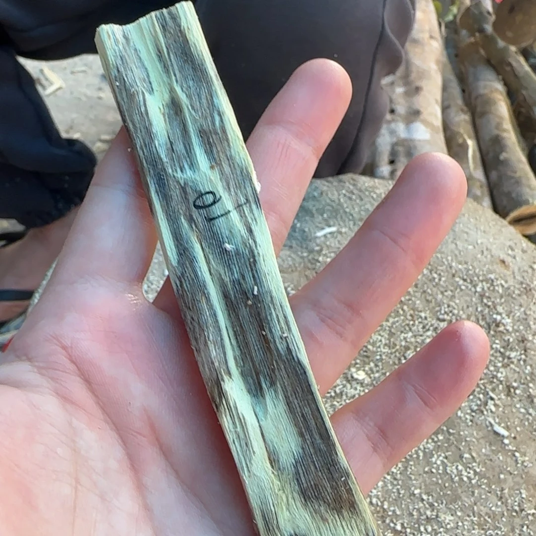树脂制品10号奇楠原木牌子一个