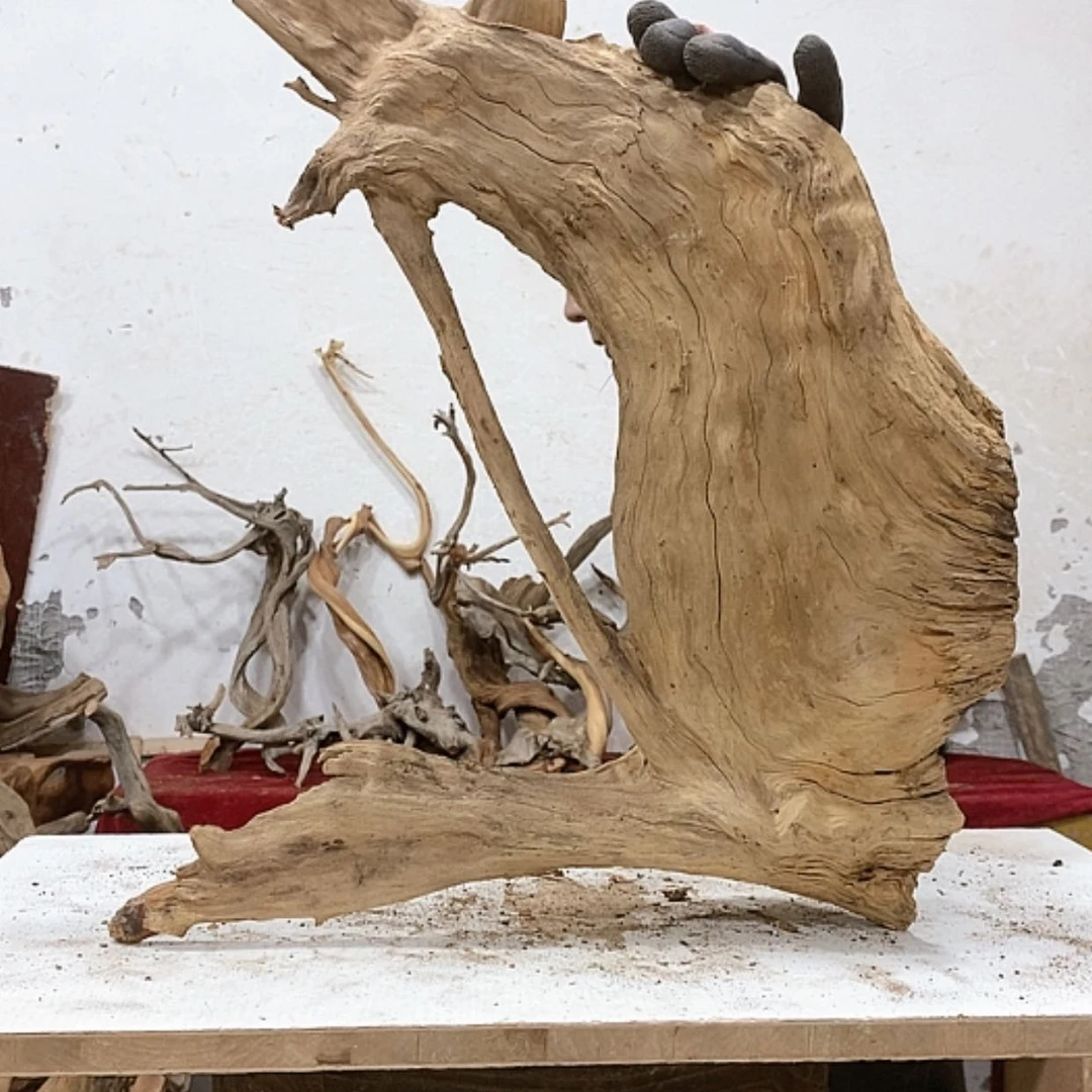 【闪购商品】柏木林*总我们都是好孩子