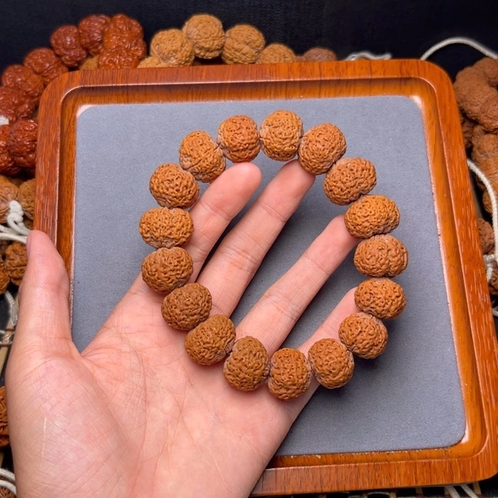 16号尼泊尔大金刚20五星蜂王菠萝蜜