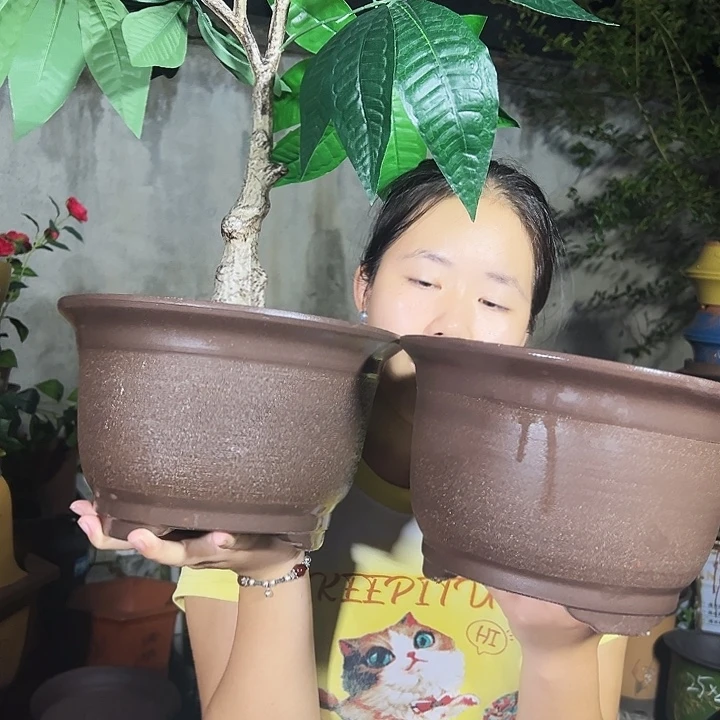 25+25拉毛小马花盆花盆