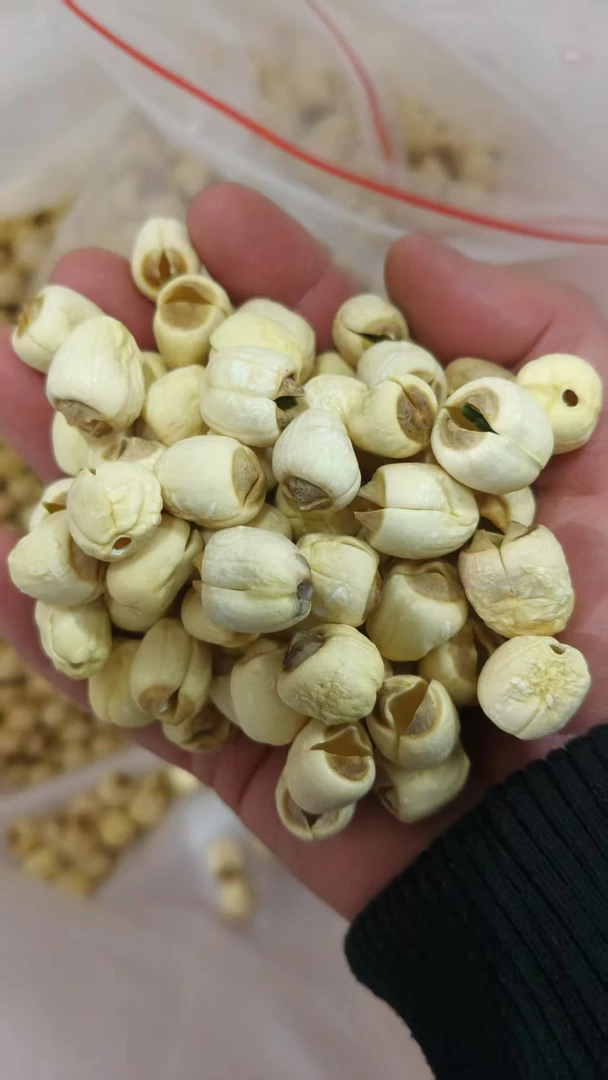 6.18活动大号 建宁莲子颗粒天然去芯农产品食用清香