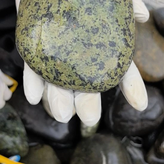 知***乐藏玉药王石原石一个