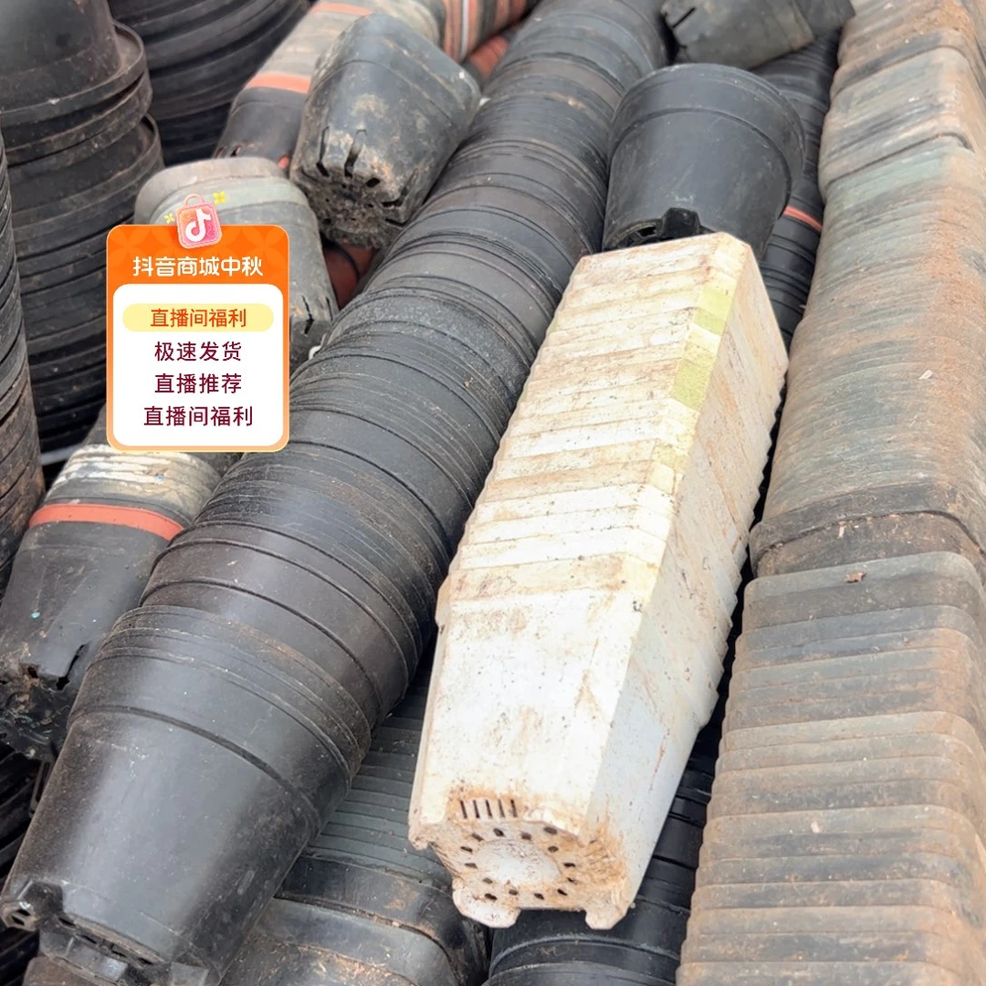 处理的小方盆6-7口径红黑白发货 200个