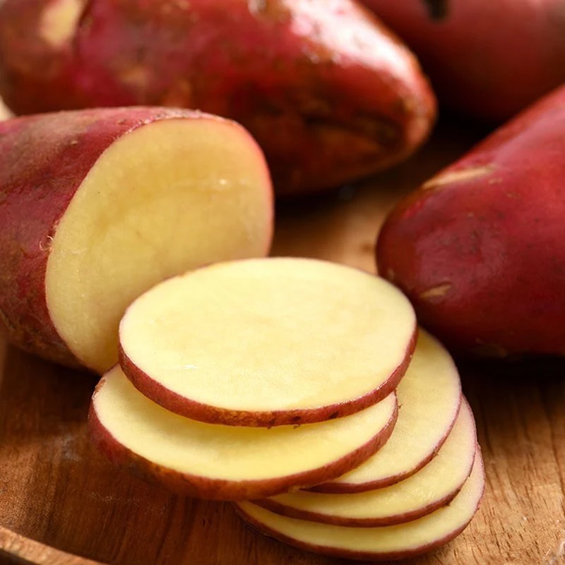 贵州威宁沙地高原露天农家自种红心红皮黄心土豆新鲜现挖粉糯香面