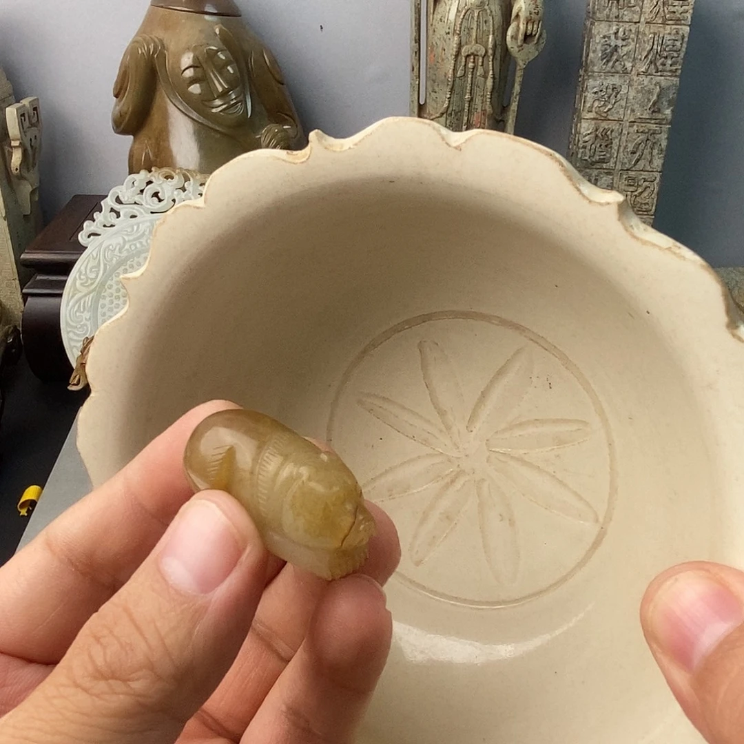 瓷片开播福利 福利多多