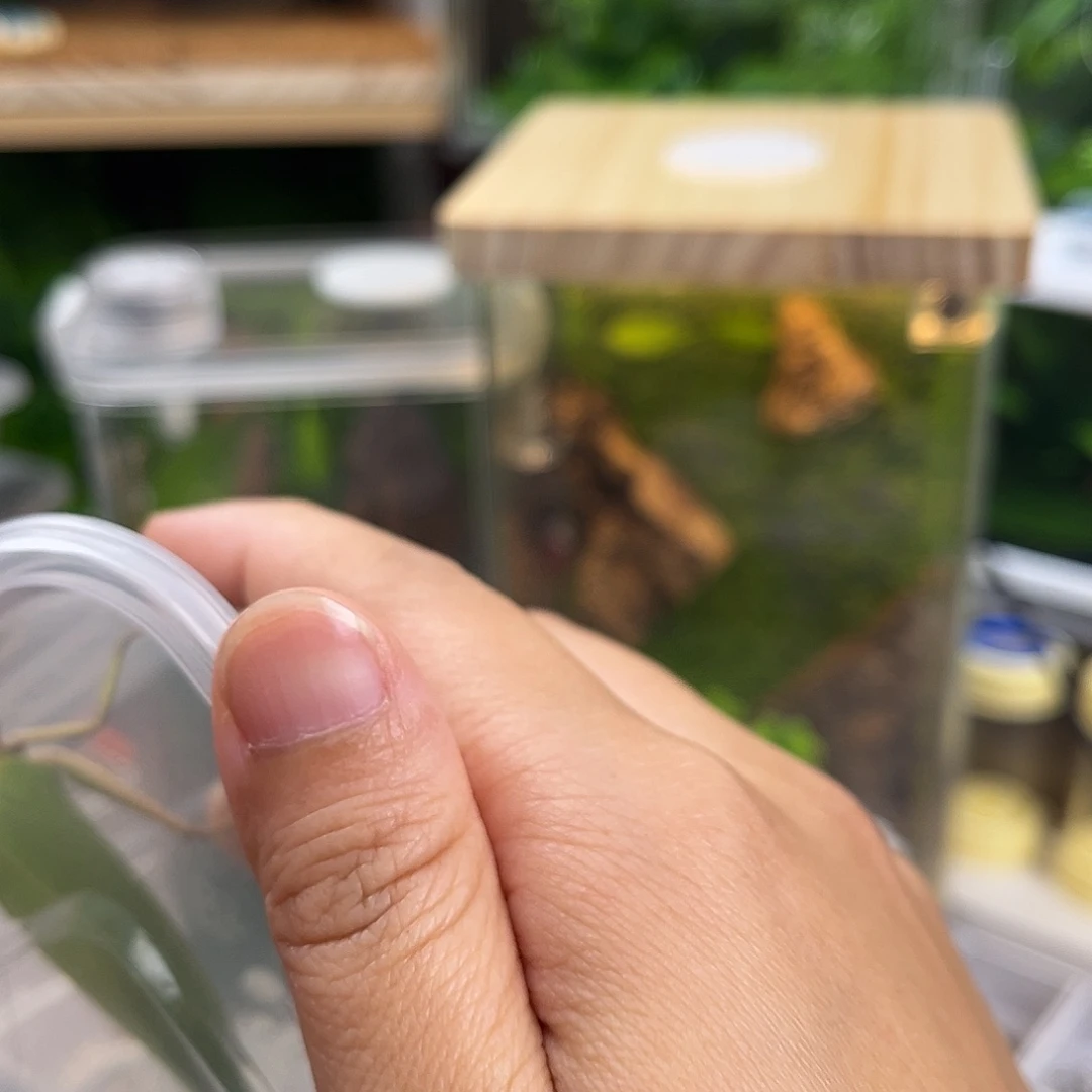 雨***沾微瑕大弧加素贝哈哈哈哈哈哈哈