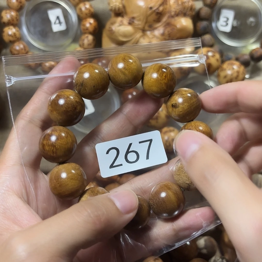 贡木巴布亚贡木2.0绿油—267