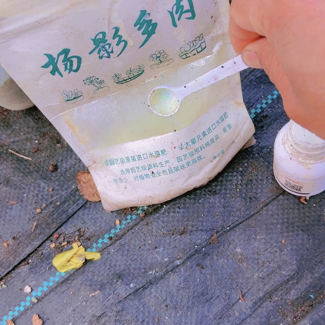 【闪购商品】营养水溶加杀菌