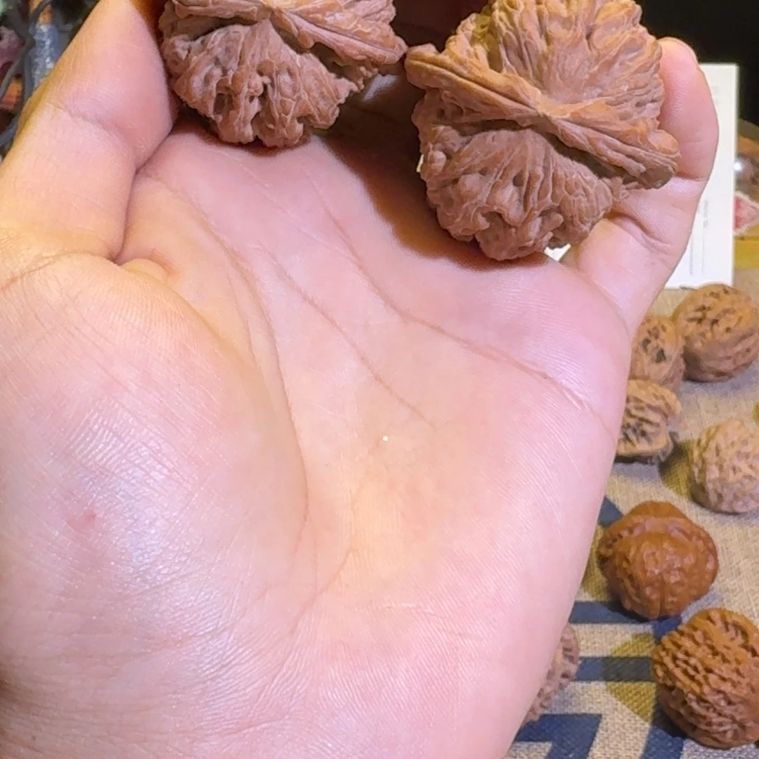 Y***J哈哈哈哈哈哈哈哈哈哈哈哈