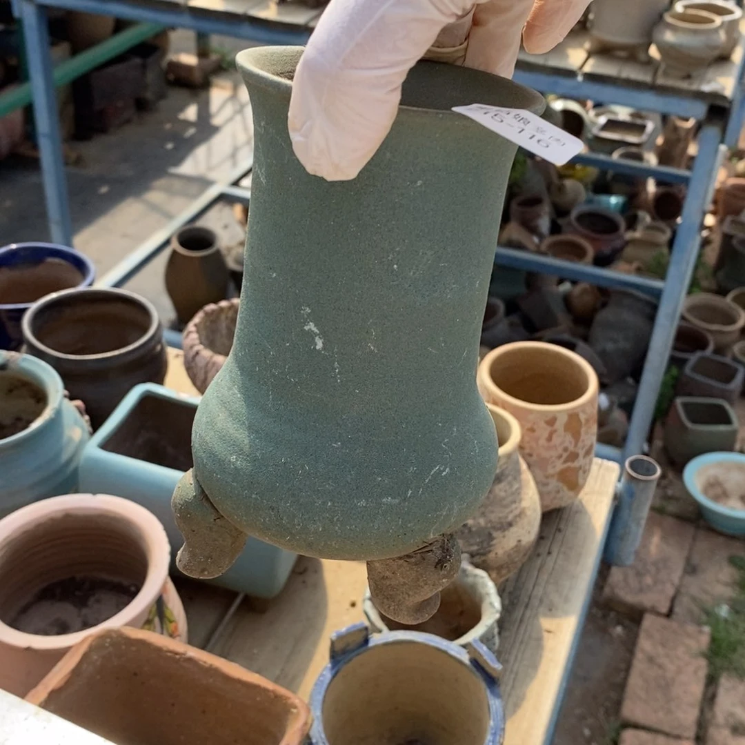 红陶元*116号多肉盆一个呀