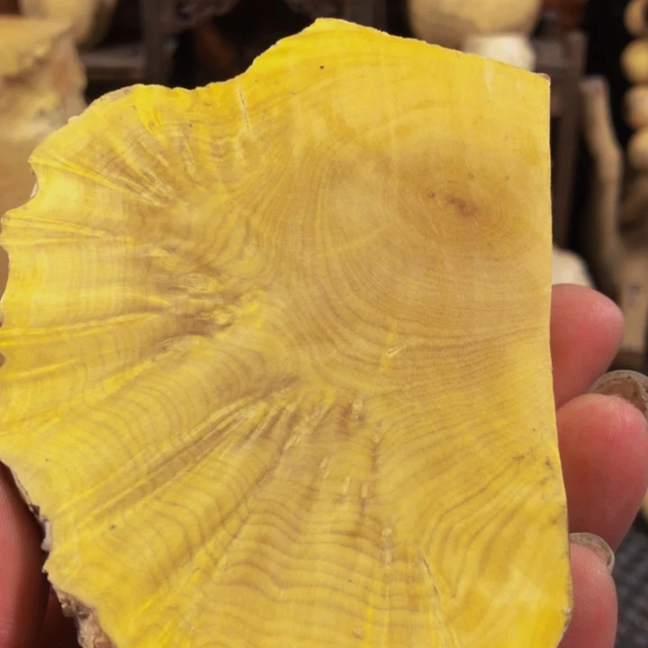 木葫**人木料努力努力努力努力