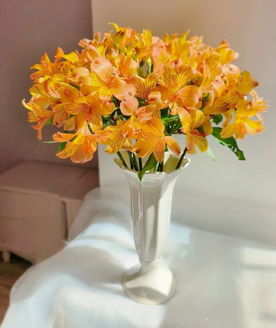 【云舍鲜花】橙色水仙百合10支家庭养花云南基地