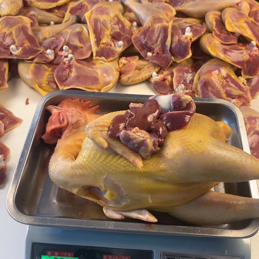 30天中国大陆包装整鸡130