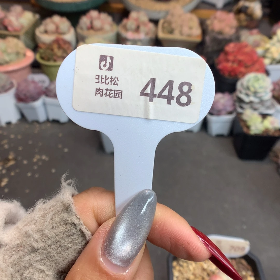 448盲盒新年快乐冰玉石化