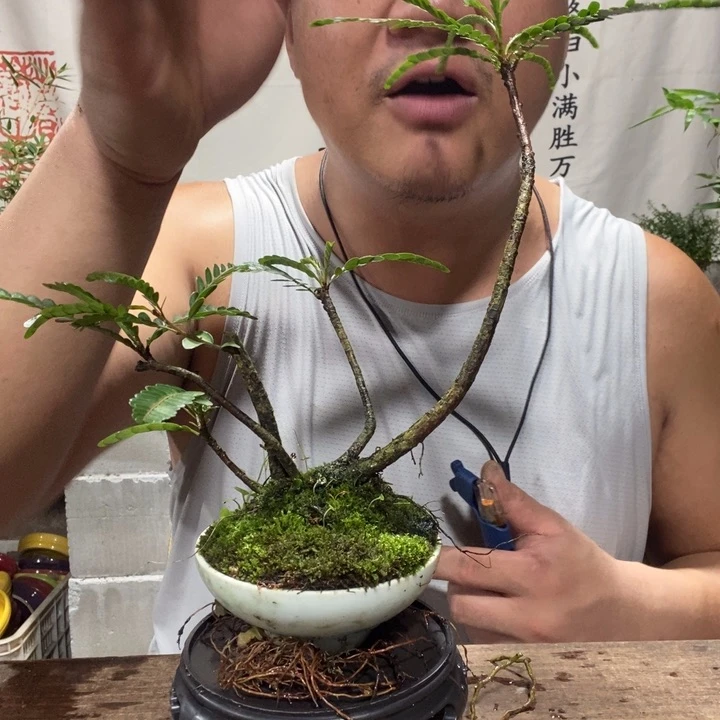 退款拉黑一物一拍215