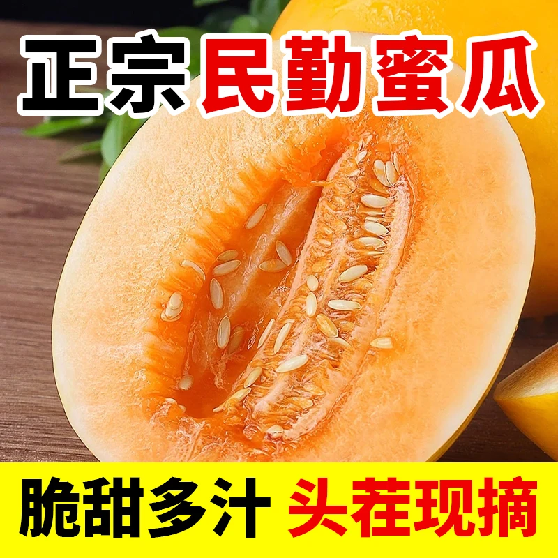 【果王2-4枚】正宗甘肃民勤沙漠金蜜瓜清甜爽口新鲜水果产地直发tt