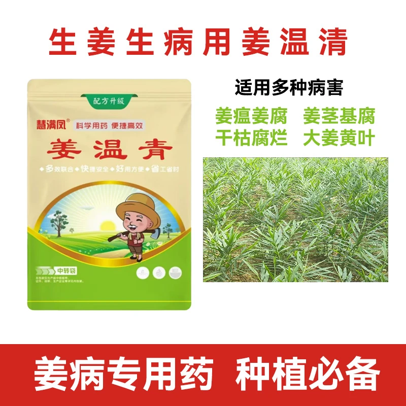 姜温青生姜专用 预防姜温软腐干尖黄叶卷叶