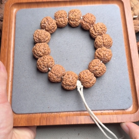 菩提26号尼泊尔大金刚23方顿梅花