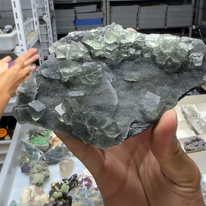 昌化石印石小*爷原石料