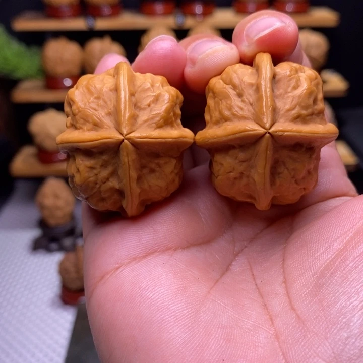 核桃云铁甲壳虫四棱58号