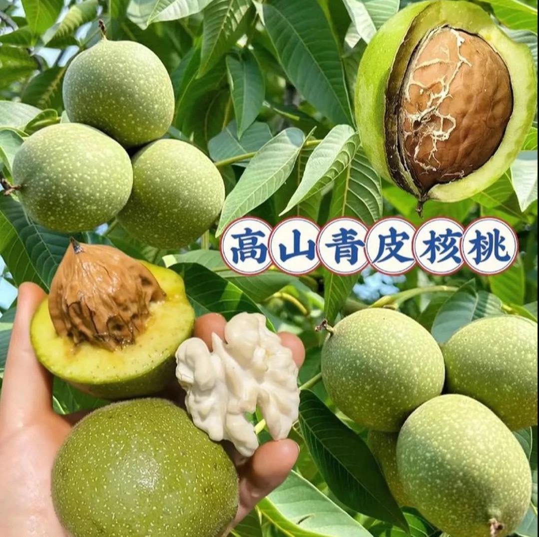 去青皮【高山青皮核桃】新鲜去青皮核桃   青皮核桃  嫩核桃