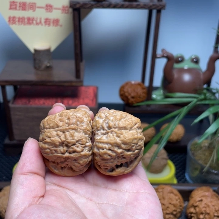 王****核桃蛤蟆42尺寸闪16