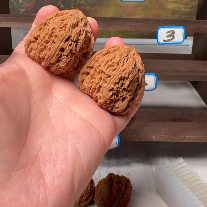 吊坠文玩核桃38红三角