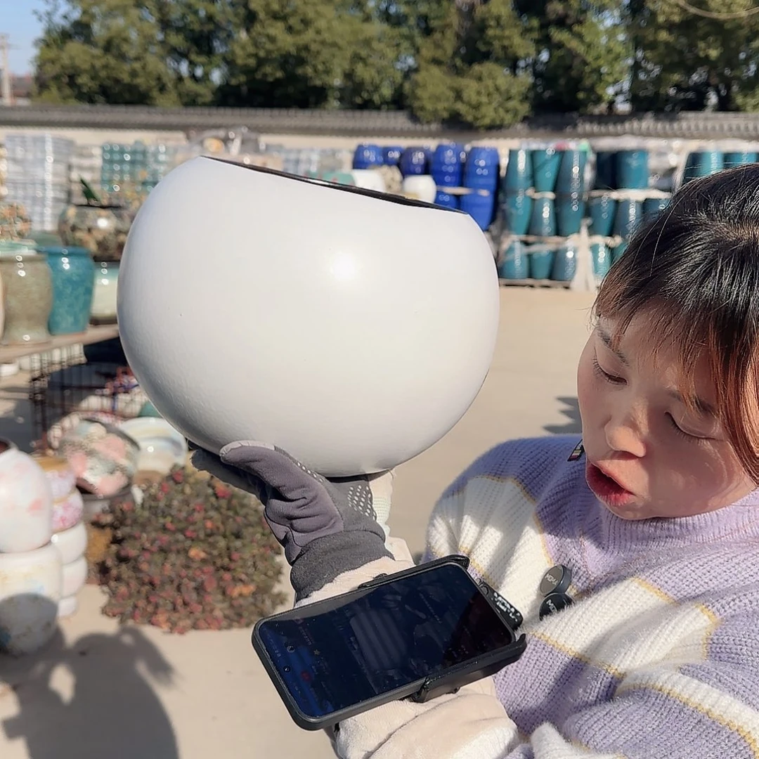 王嫂花盆1209-436高21口19