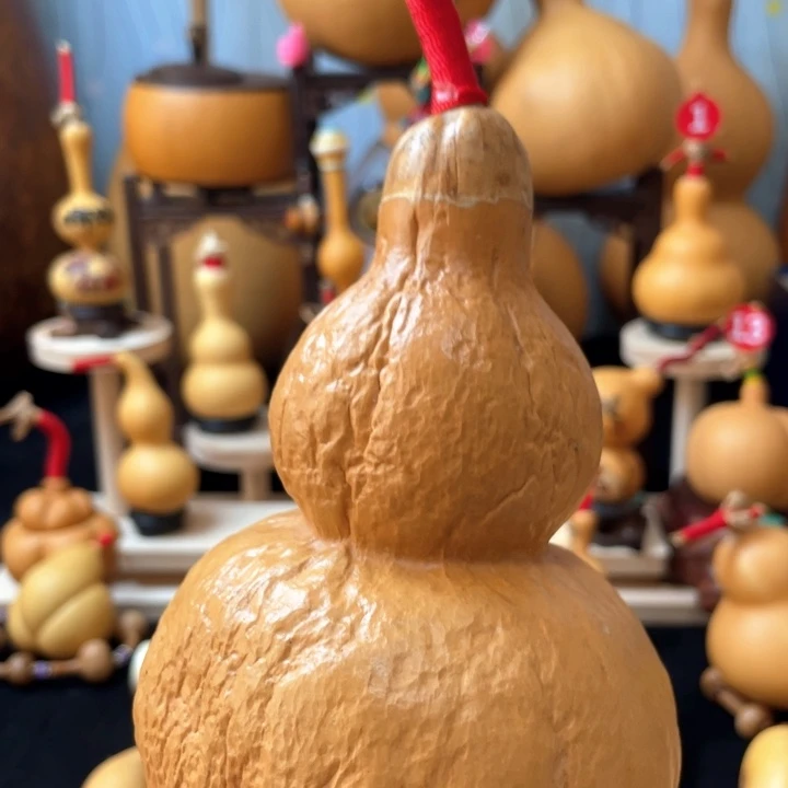 学*葫芦丝和音乐更像自己想