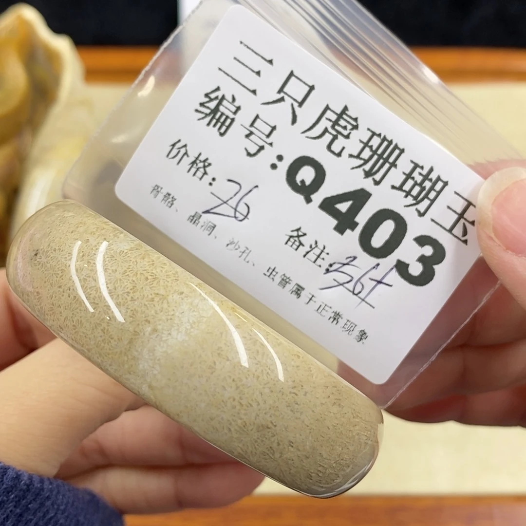 硅化珊瑚（珊瑚玉）1未镶嵌用***一