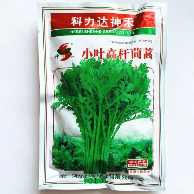 小叶茼蒿光杆茼蒿种子皇帝菜高长杆蒿蒿菜菊花菜种籽春秋季大田种