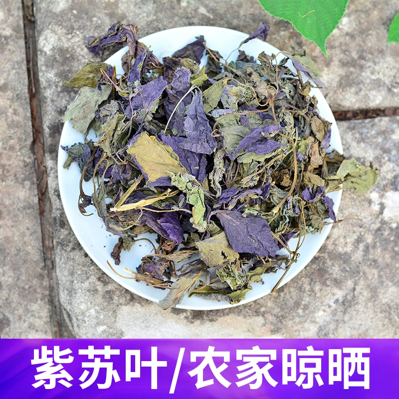 紫苏叶四川巴中农村坡上采的紫苏叶当季新货不熏硫煮水泡水煮鸡蛋